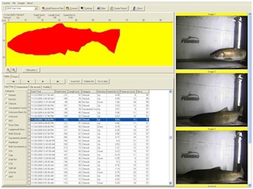 Exemple d'image scanner et base de donnée associée